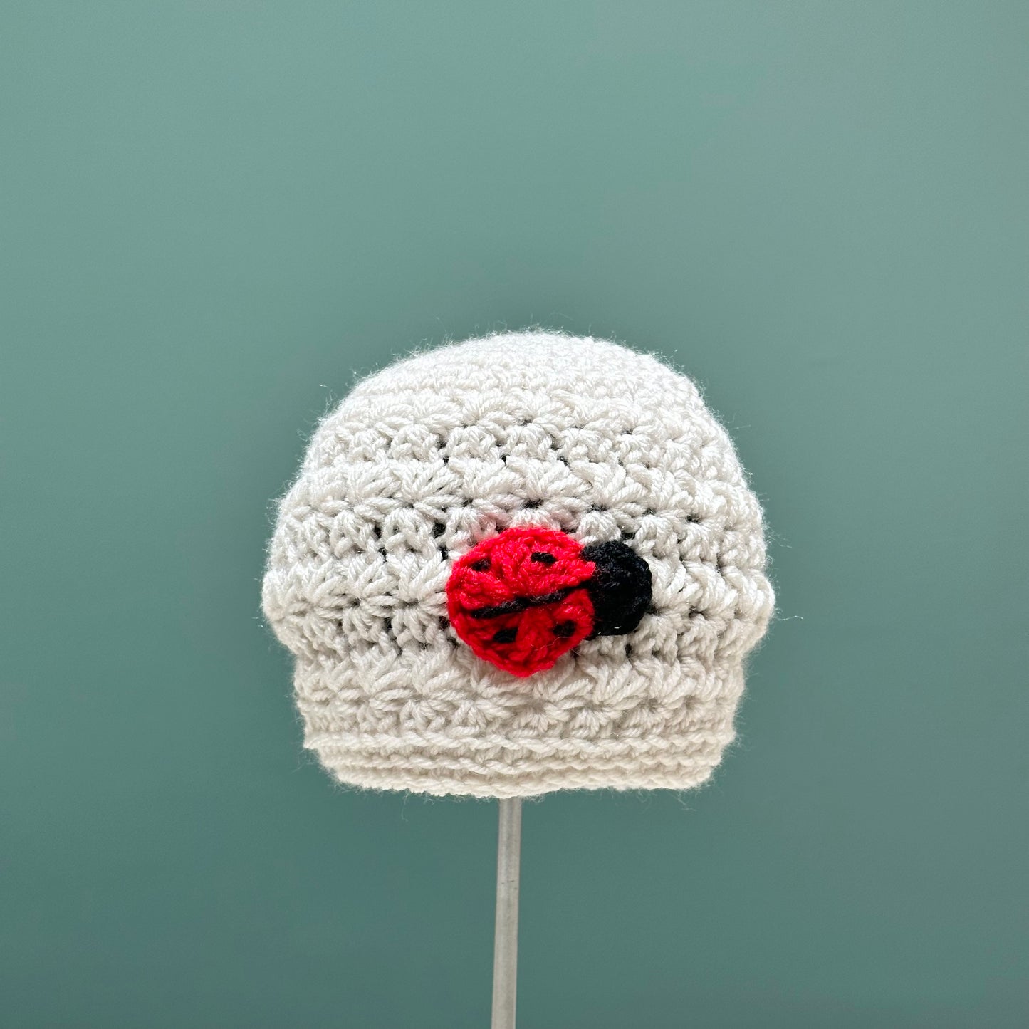 Ladybug Hat