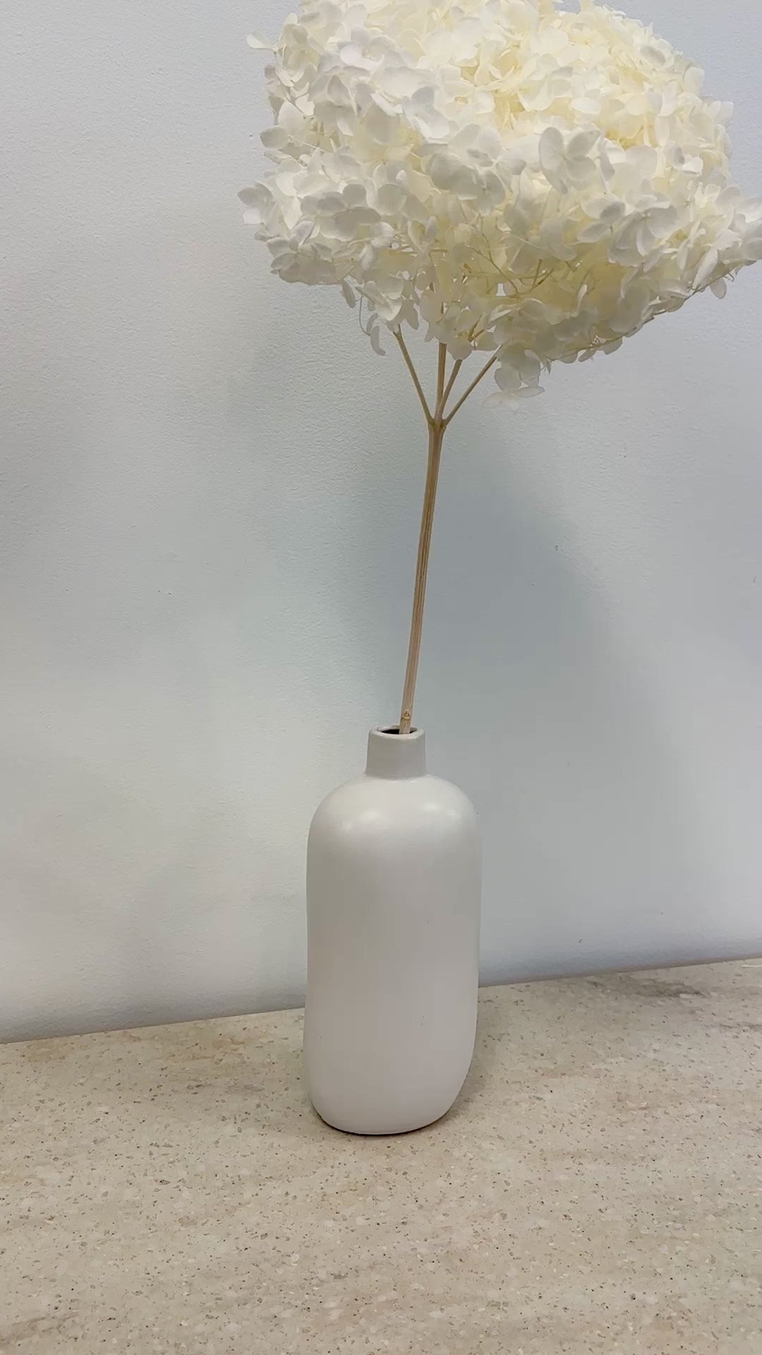 Natural Dried Hydrangea Flower