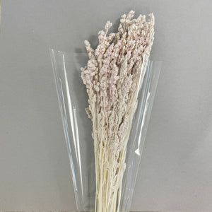 Preserved Leaf and Flowers Bundle